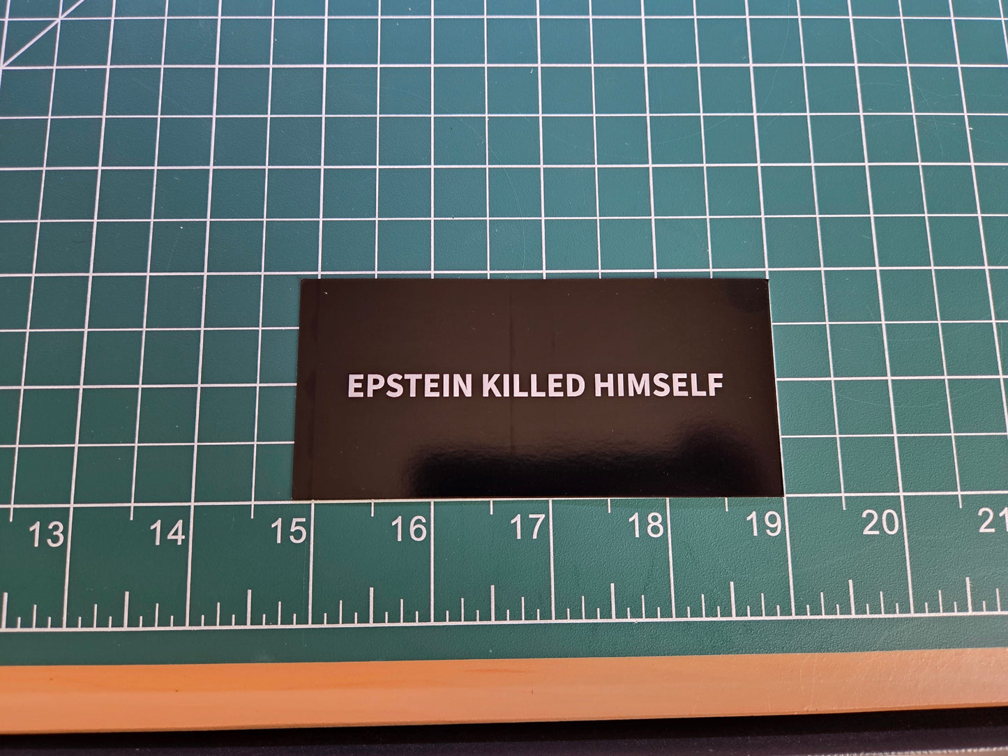 Epstein Killed Himself